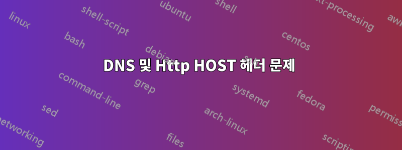 DNS 및 Http HOST 헤더 문제