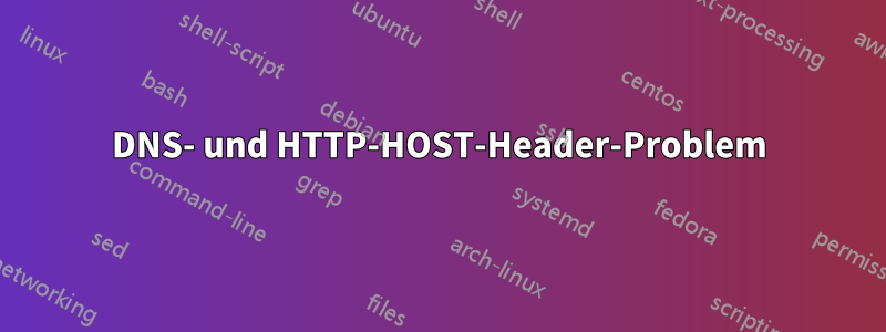 DNS- und HTTP-HOST-Header-Problem