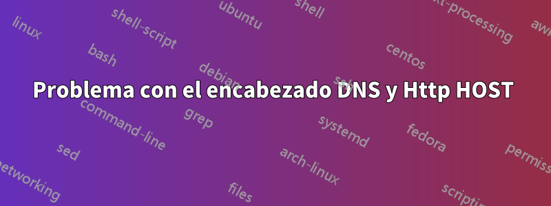 Problema con el encabezado DNS y Http HOST