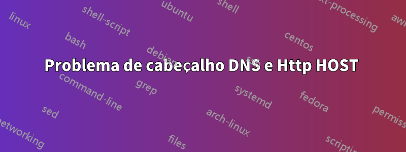 Problema de cabeçalho DNS e Http HOST