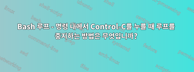 Bash 루프 - 명령 내에서 Control-C를 누를 때 루프를 중지하는 방법은 무엇입니까?