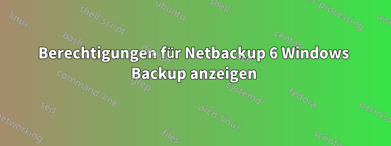 Berechtigungen für Netbackup 6 Windows Backup anzeigen