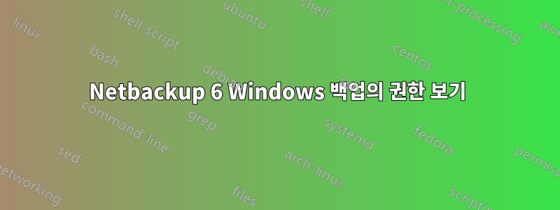 Netbackup 6 Windows 백업의 권한 보기