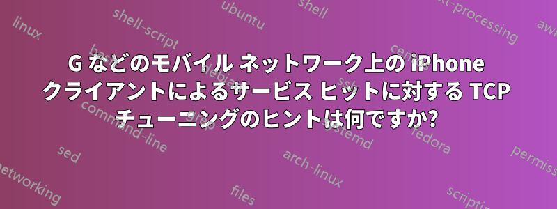 3G などのモバイル ネットワーク上の iPhone クライアントによるサービス ヒットに対する TCP チューニングのヒントは何ですか?