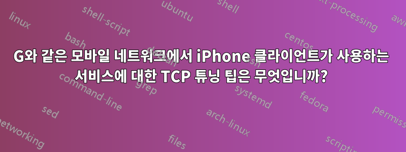 3G와 같은 모바일 네트워크에서 iPhone 클라이언트가 사용하는 서비스에 대한 TCP 튜닝 팁은 무엇입니까?