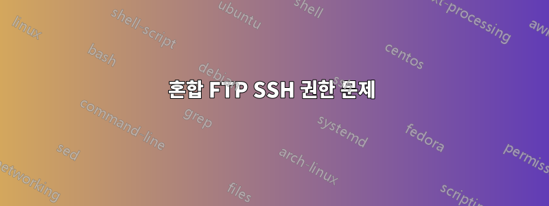 혼합 FTP SSH 권한 문제