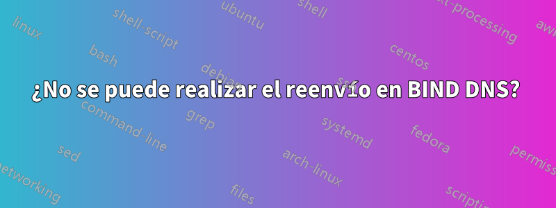 ¿No se puede realizar el reenvío en BIND DNS?