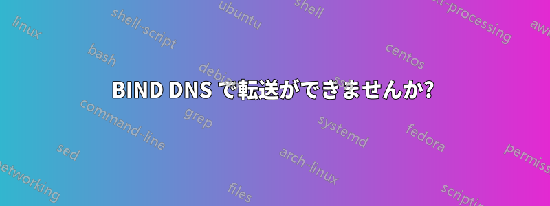 BIND DNS で転送ができませんか?