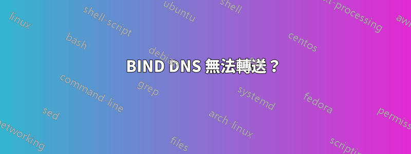 BIND DNS 無法轉送？