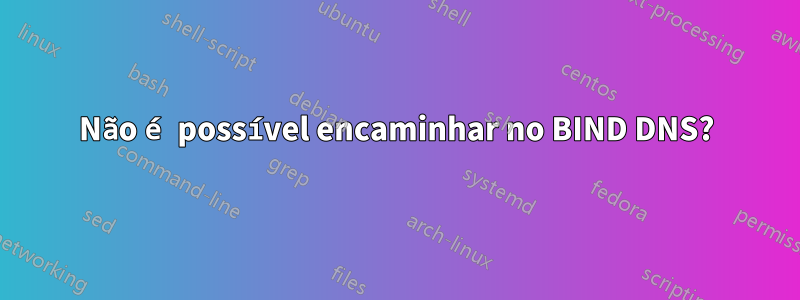 Não é possível encaminhar no BIND DNS?