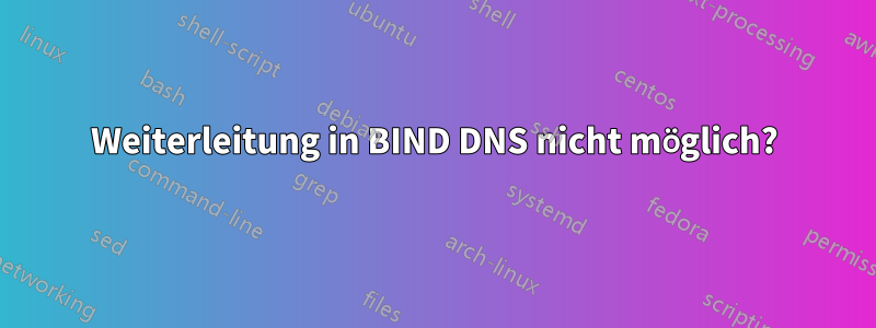 Weiterleitung in BIND DNS nicht möglich?