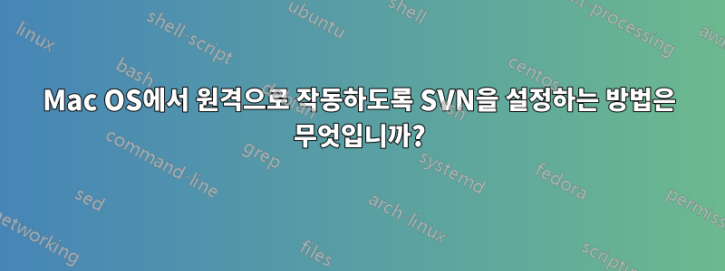 Mac OS에서 원격으로 작동하도록 SVN을 설정하는 방법은 무엇입니까?