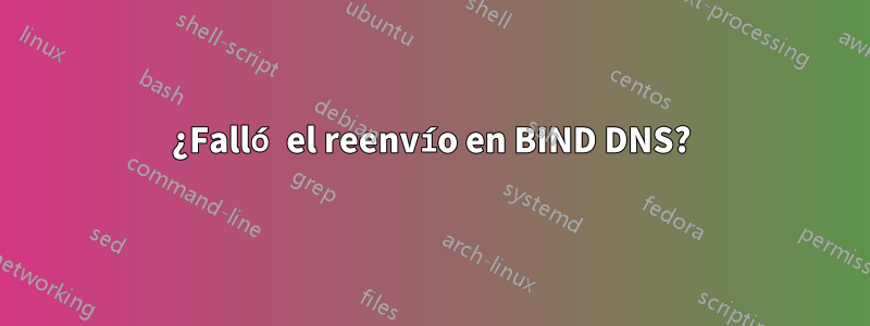 ¿Falló el reenvío en BIND DNS?