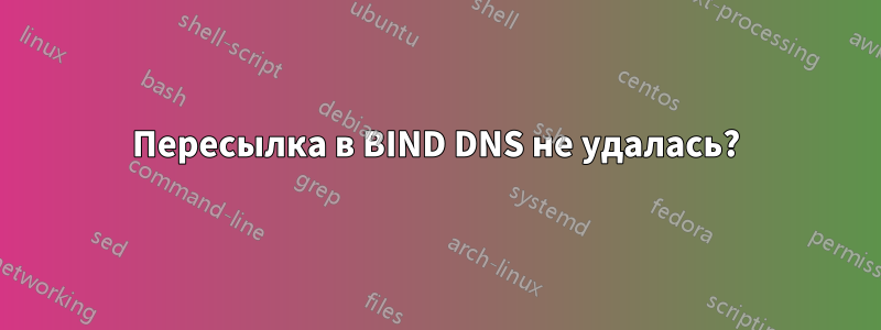 Пересылка в BIND DNS не удалась?