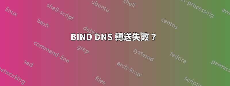 BIND DNS 轉送失敗？