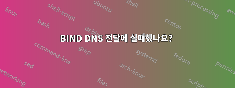 BIND DNS 전달에 실패했나요?