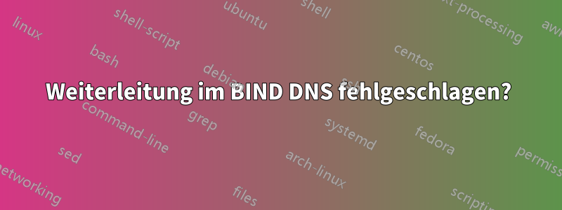 Weiterleitung im BIND DNS fehlgeschlagen?