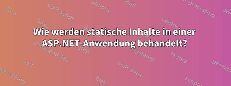 Wie werden statische Inhalte in einer ASP.NET-Anwendung behandelt?