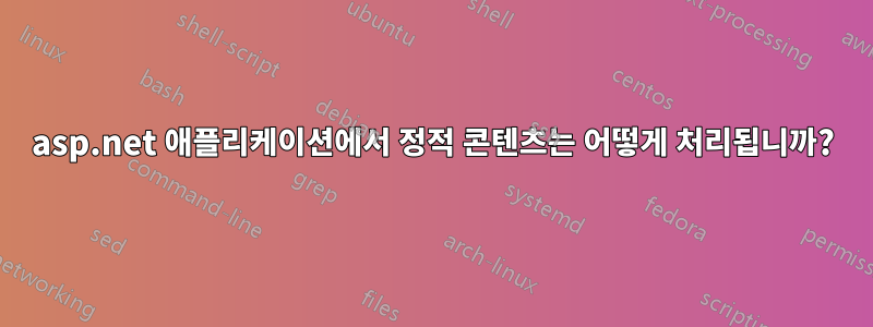 asp.net 애플리케이션에서 정적 콘텐츠는 어떻게 처리됩니까?