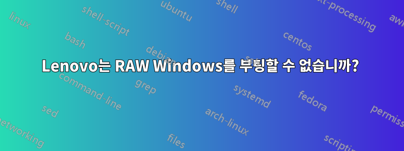 Lenovo는 RAW Windows를 부팅할 수 없습니까?