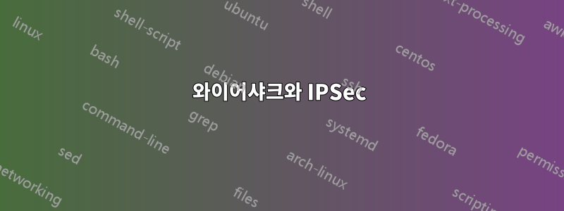 와이어샤크와 IPSec