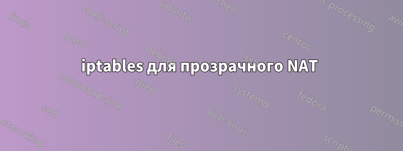 iptables для прозрачного NAT