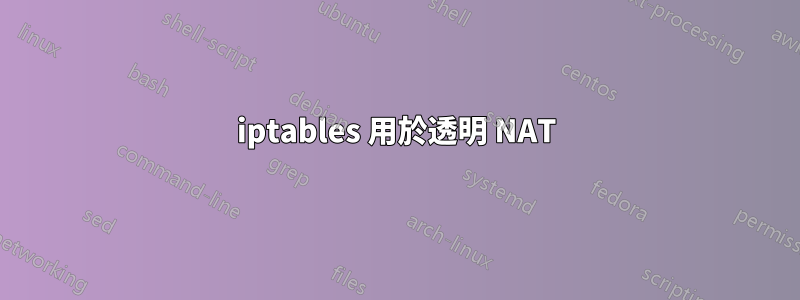 iptables 用於透明 NAT