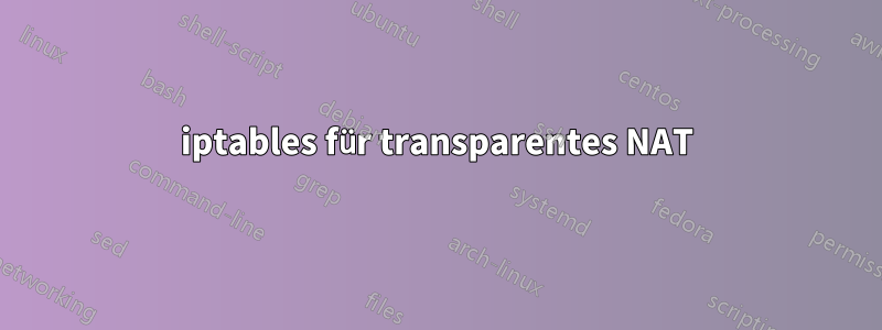 iptables für transparentes NAT