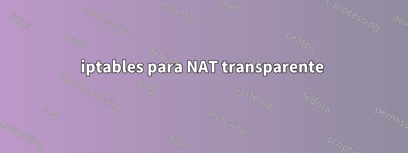 iptables para NAT transparente