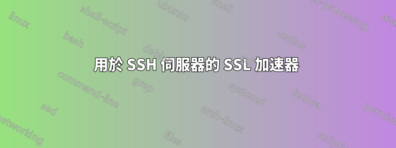 用於 SSH 伺服器的 SSL 加速器