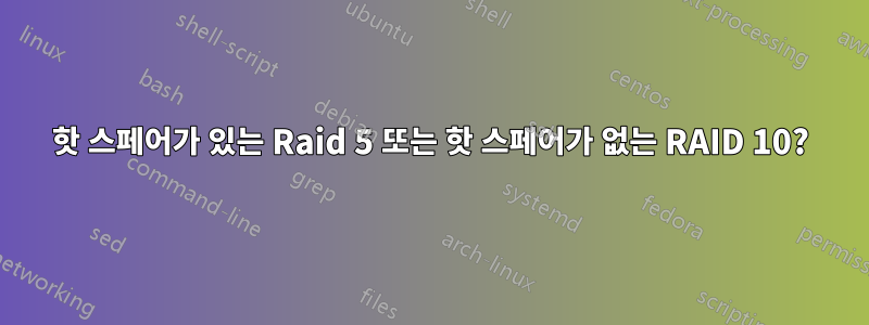 핫 스페어가 있는 Raid 5 또는 핫 스페어가 없는 RAID 10?