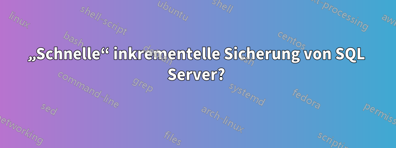 „Schnelle“ inkrementelle Sicherung von SQL Server?