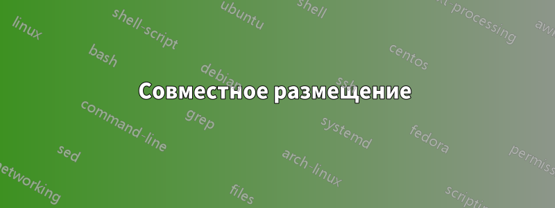 Совместное размещение