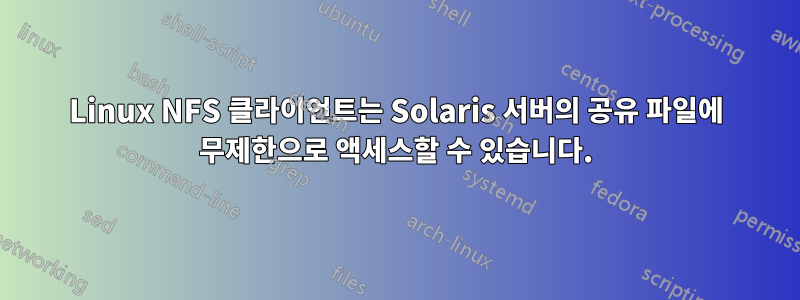 Linux NFS 클라이언트는 Solaris 서버의 공유 파일에 무제한으로 액세스할 수 있습니다.