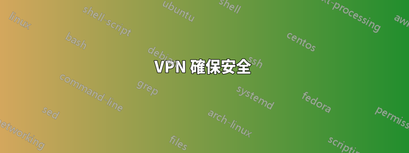 VPN 確保安全