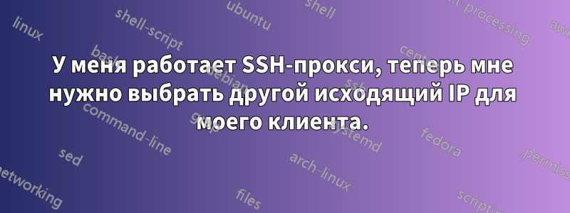 У меня работает SSH-прокси, теперь мне нужно выбрать другой исходящий IP для моего клиента.