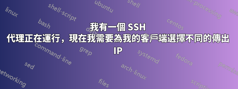 我有一個 SSH 代理正在運行，現在我需要為我的客戶端選擇不同的傳出 IP