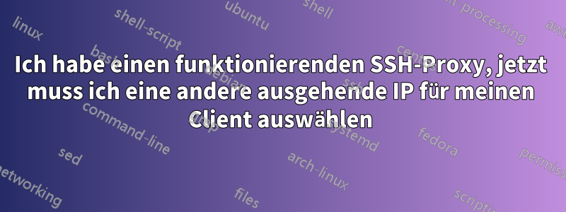 Ich habe einen funktionierenden SSH-Proxy, jetzt muss ich eine andere ausgehende IP für meinen Client auswählen