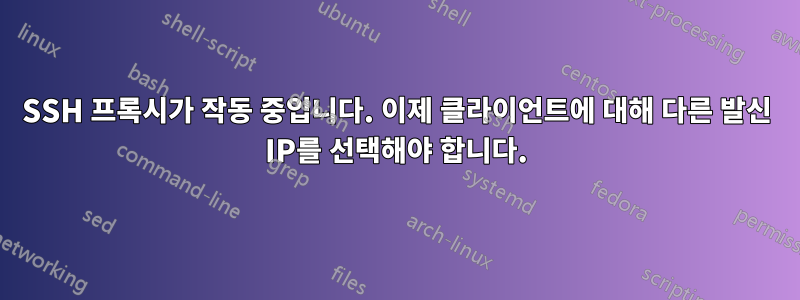 SSH 프록시가 작동 중입니다. 이제 클라이언트에 대해 다른 발신 IP를 선택해야 합니다.