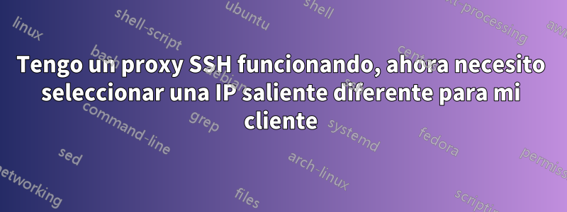 Tengo un proxy SSH funcionando, ahora necesito seleccionar una IP saliente diferente para mi cliente