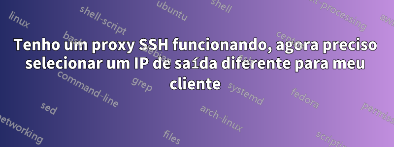 Tenho um proxy SSH funcionando, agora preciso selecionar um IP de saída diferente para meu cliente