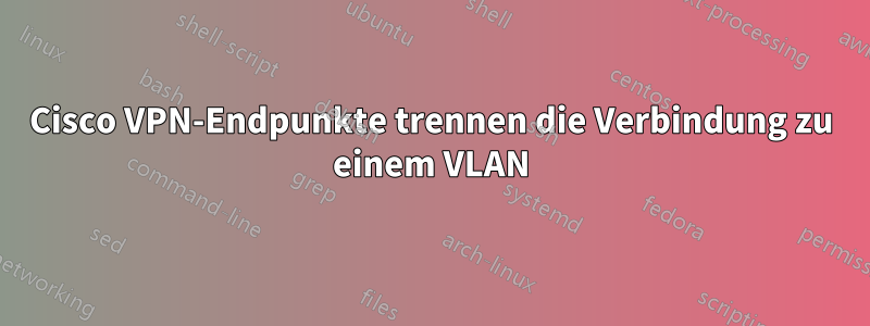 Cisco VPN-Endpunkte trennen die Verbindung zu einem VLAN