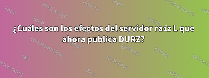 ¿Cuáles son los efectos del servidor raíz L que ahora publica DURZ?