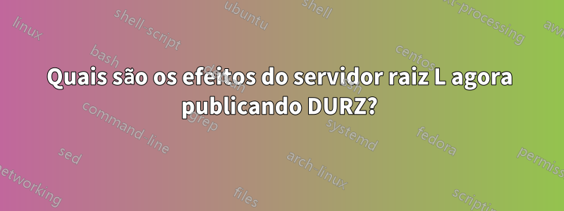 Quais são os efeitos do servidor raiz L agora publicando DURZ?