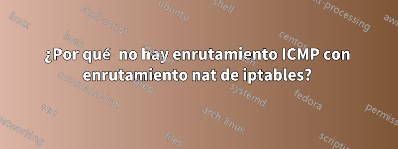 ¿Por qué no hay enrutamiento ICMP con enrutamiento nat de iptables?