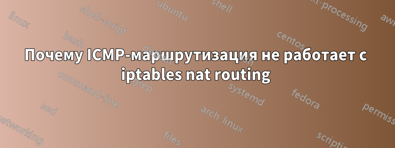 Почему ICMP-маршрутизация не работает с iptables nat routing