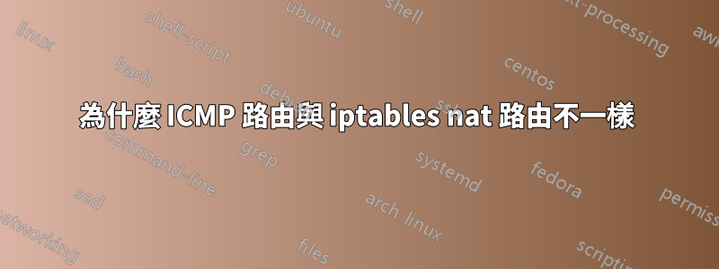 為什麼 ICMP 路由與 iptables nat 路由不一樣