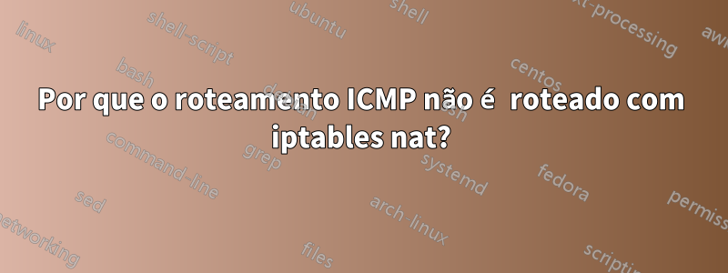 Por que o roteamento ICMP não é roteado com iptables nat?