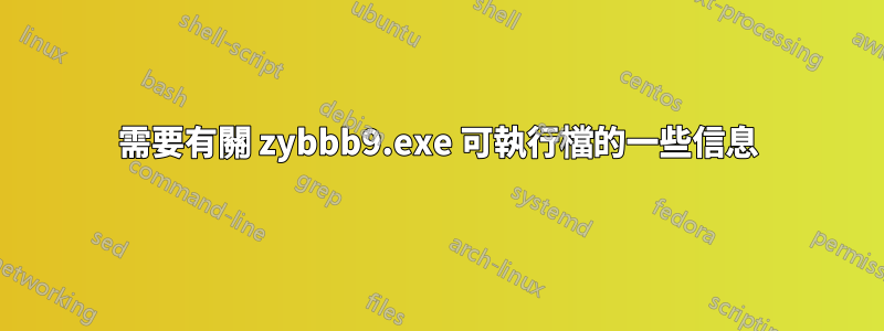 需要有關 zybbb9.exe 可執行檔的一些信息