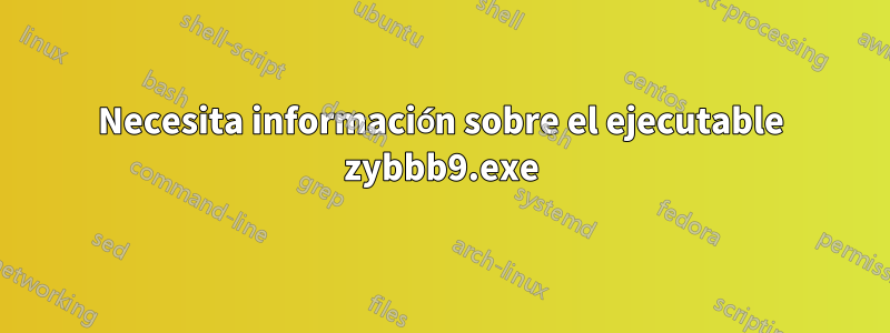 Necesita información sobre el ejecutable zybbb9.exe